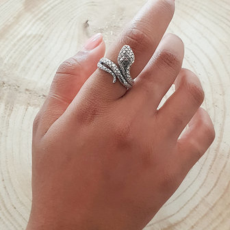 Zilveren ring met slang