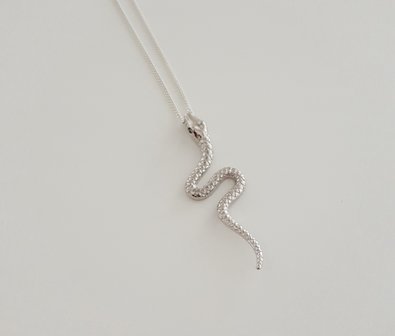 Zilveren ketting met slang