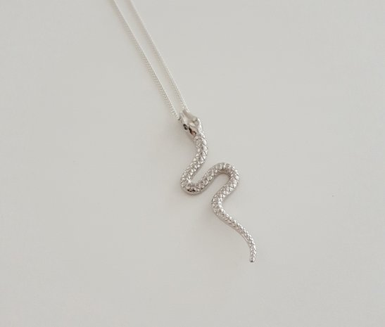Zilveren ketting met slang
