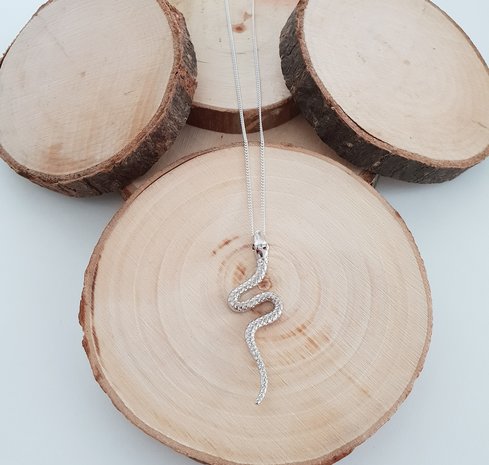 Zilveren ketting met slang